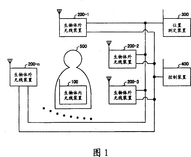 Position measuring method, system and device and radio device in organism