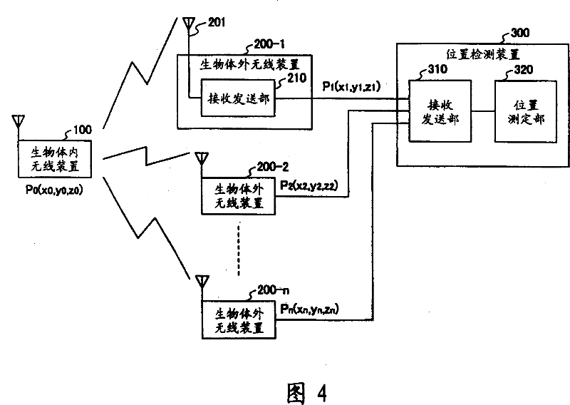 Position measuring method, system and device and radio device in organism