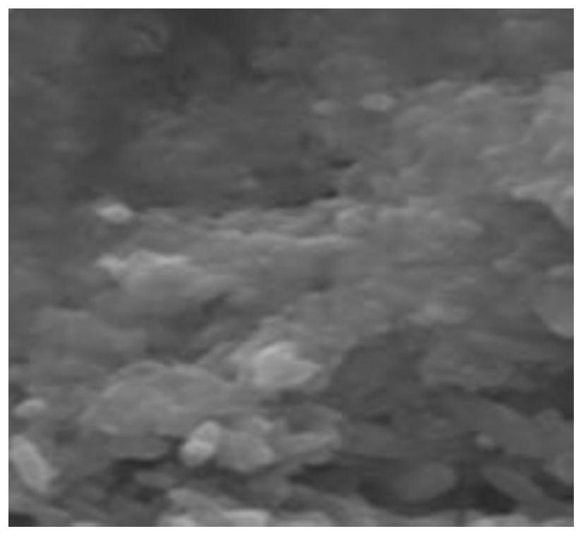 Porous polyaniline nano-film loaded with nano zero-valent iron as well as preparation method and application of porous polyaniline nano-film