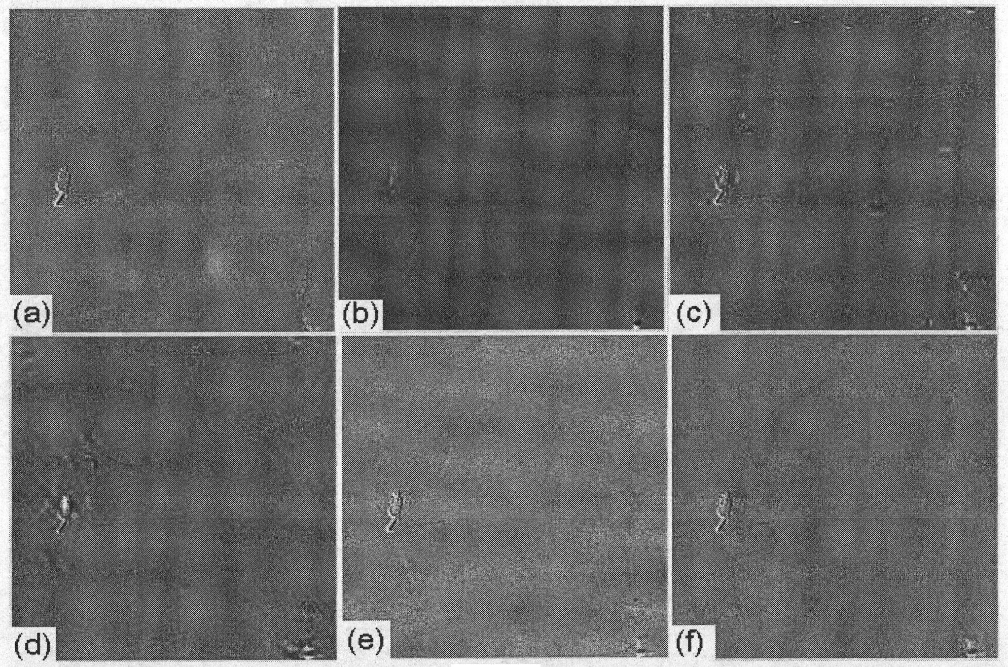 Infrared and visible light video image fusion method based on Surfacelet conversion