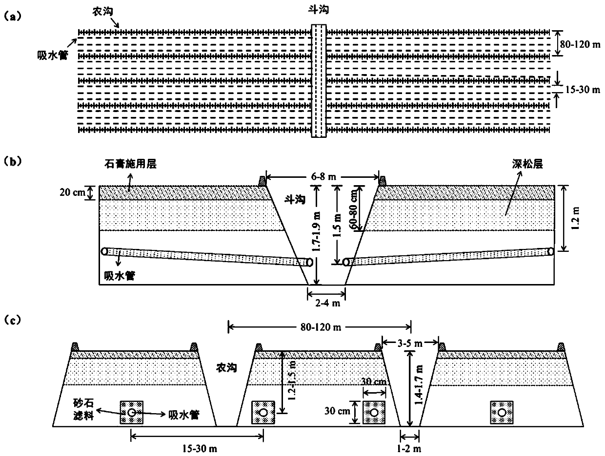 A kind of engineering improvement and ecological construction method of sticky board severe saline-alkali land