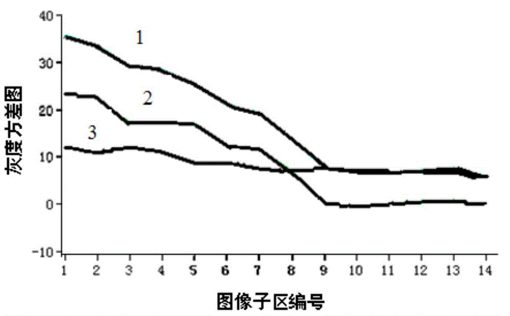 Self-adaptive segmentation method based on crack image subarea gray scale mean value