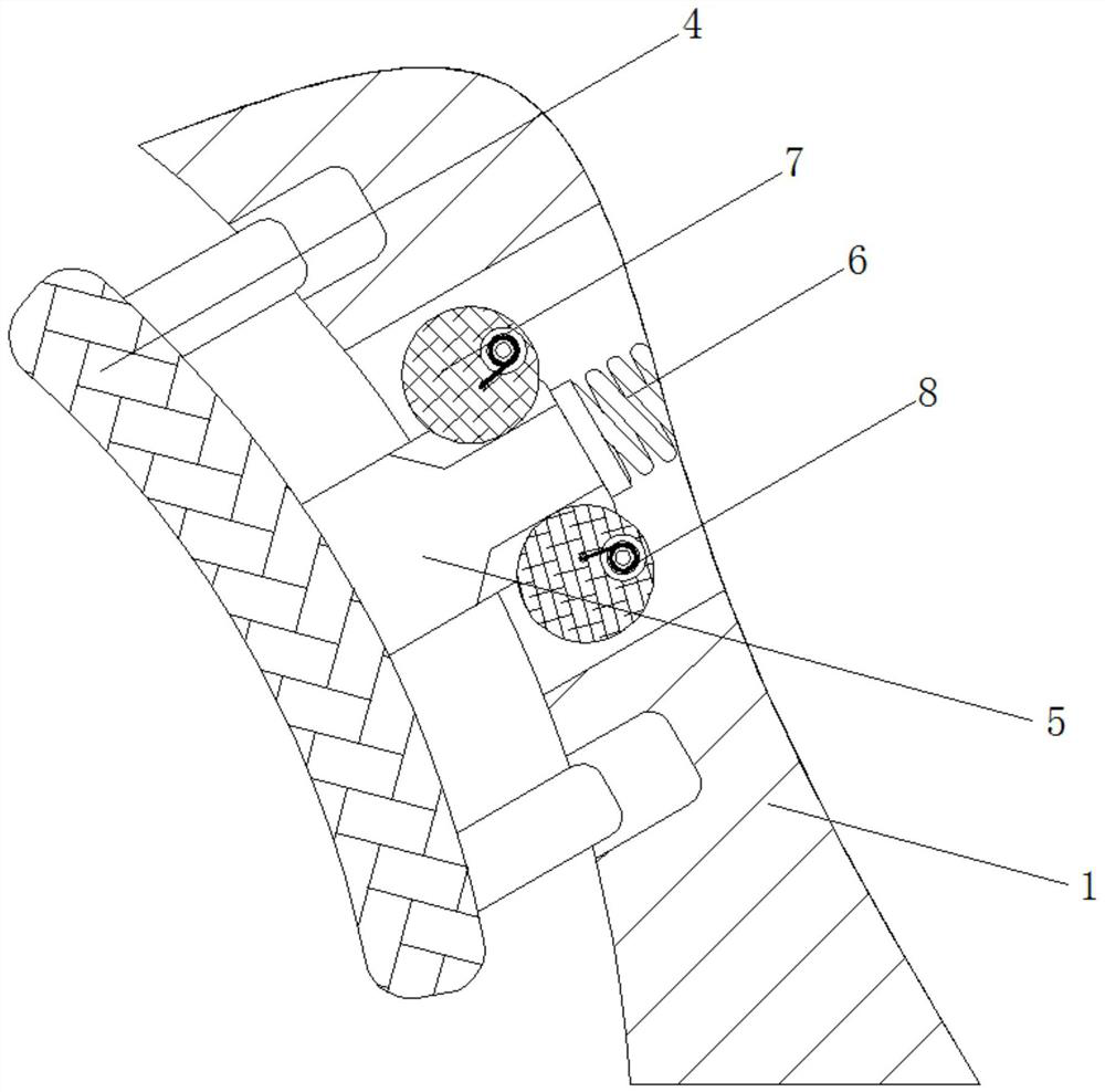 Anti-vibration quick fixing device for chain type hoop