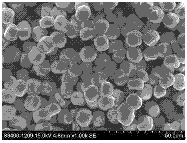 A Method for Regulating the Morphology of Amino Acid/Rare Earth Coordination Polymer Using Surfactant