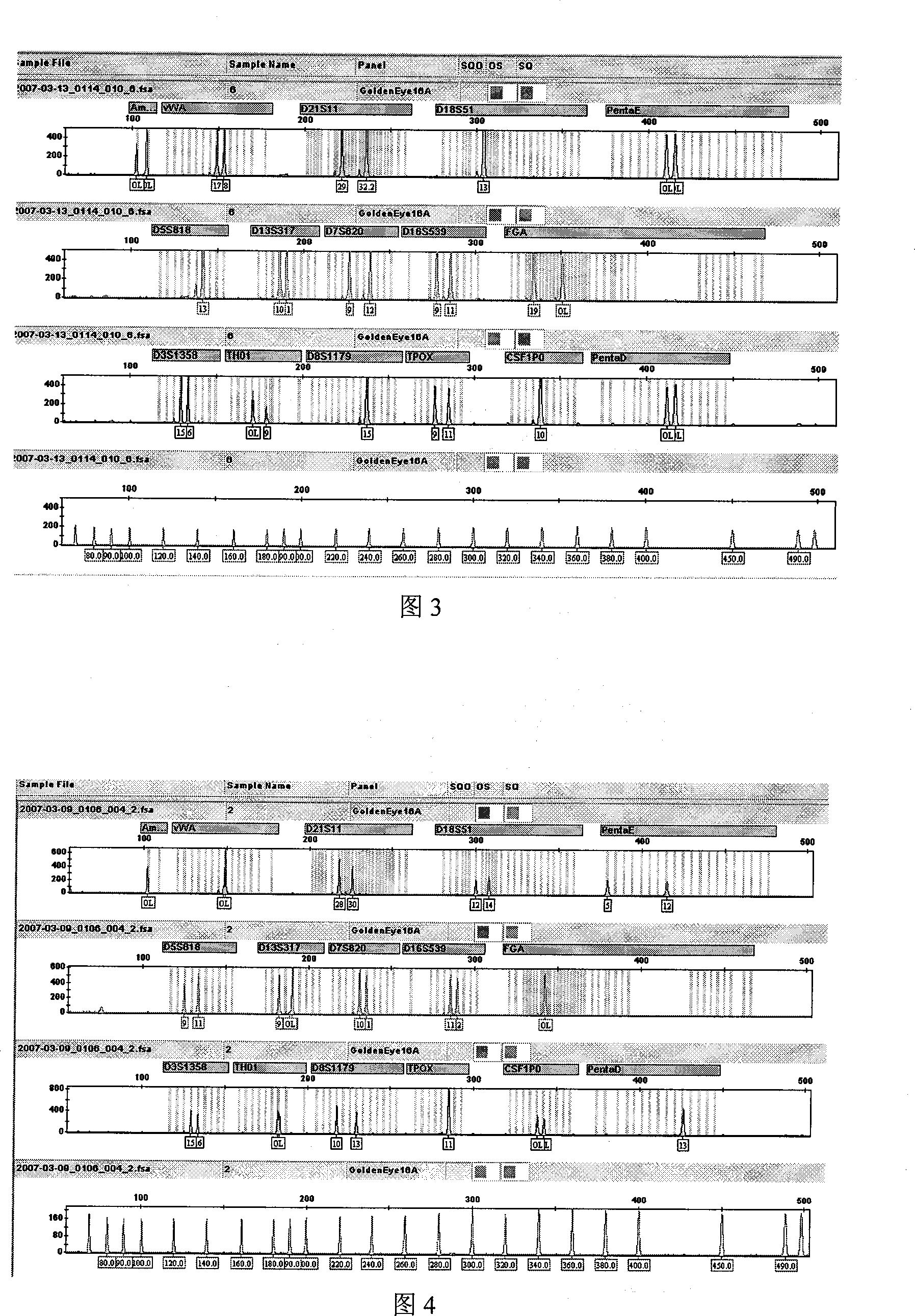 Blood DNA conserving card and method for making the same