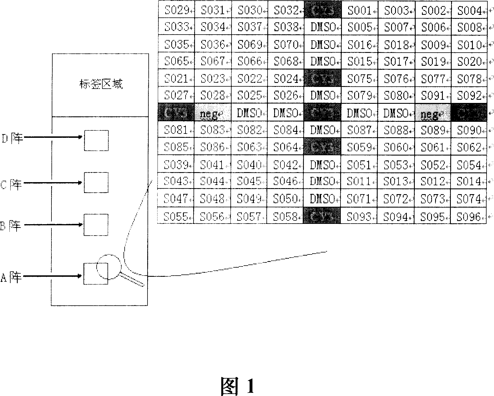 Gene chip for inspecting IIIV P-reverse transcriptase inhibiting resistance and its reagent kit