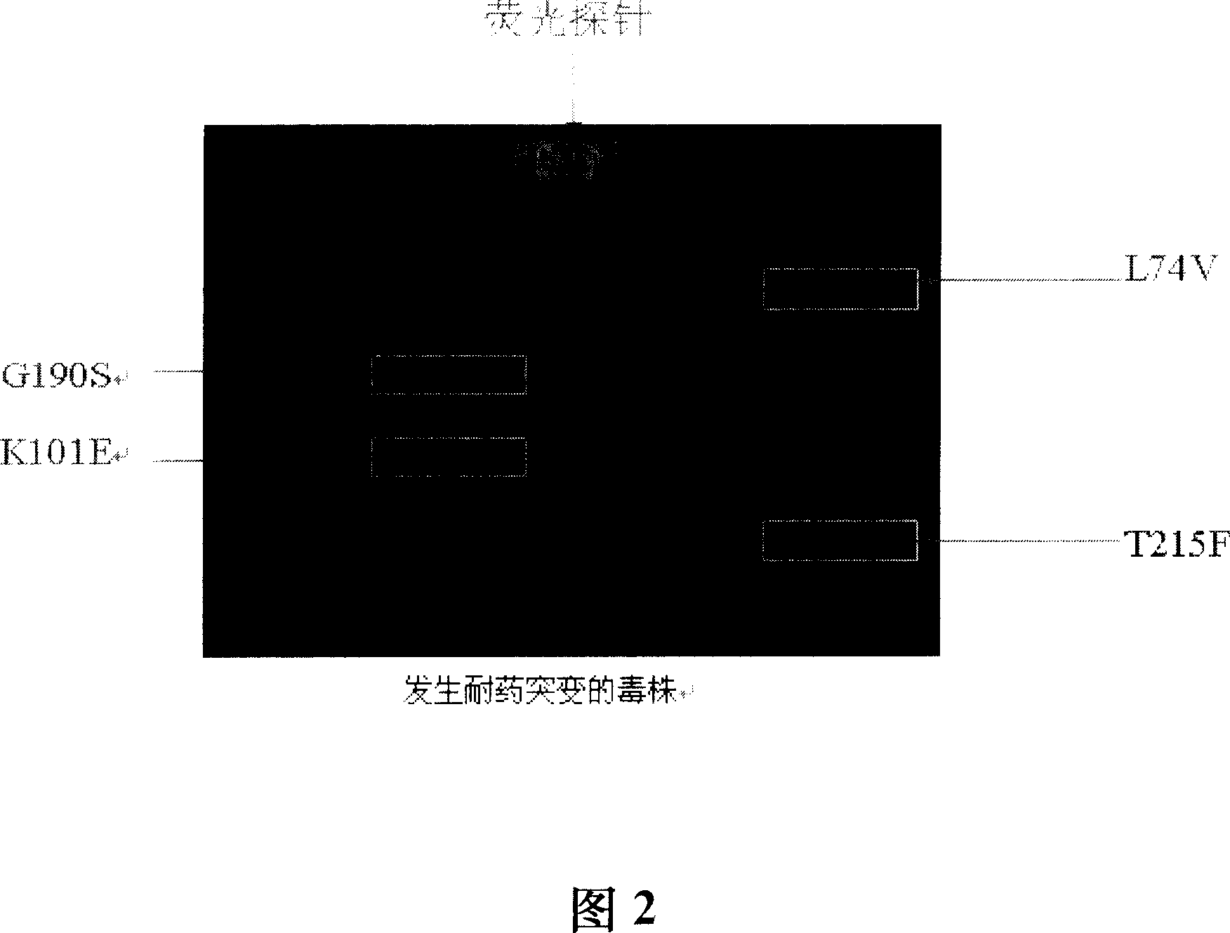 Gene chip for inspecting IIIV P-reverse transcriptase inhibiting resistance and its reagent kit