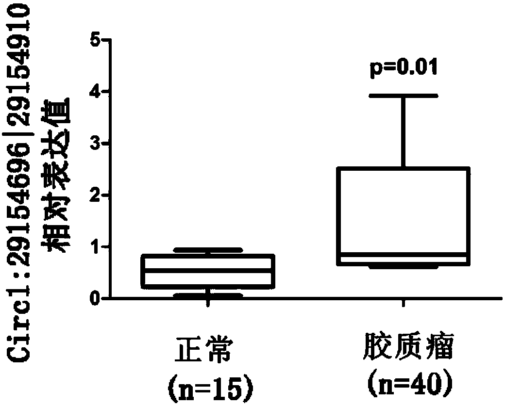 Glioma prognostic marker circ1:29154696|29154910 and application