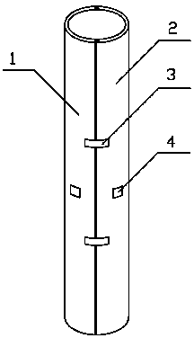 Anti-freezing and anti-wind device for tree