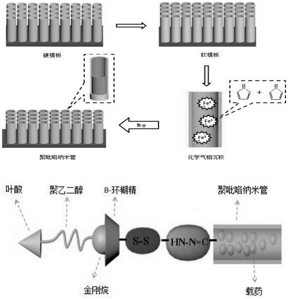 Stimulus-response type polypyrrole nanotube targeting drug carrier and preparation method