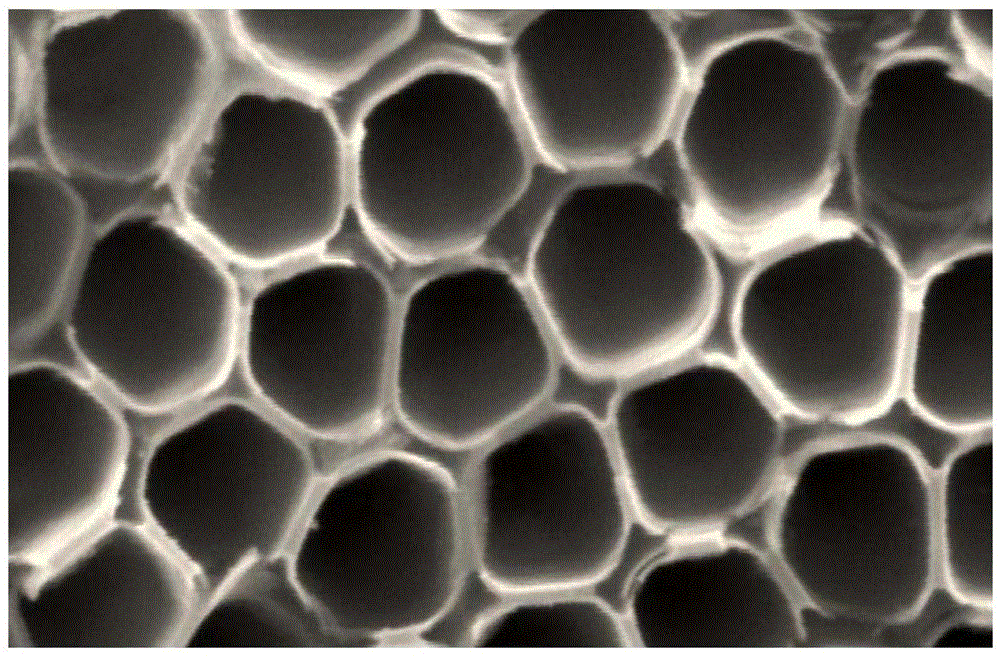 Stimulus-response type polypyrrole nanotube targeting drug carrier and preparation method