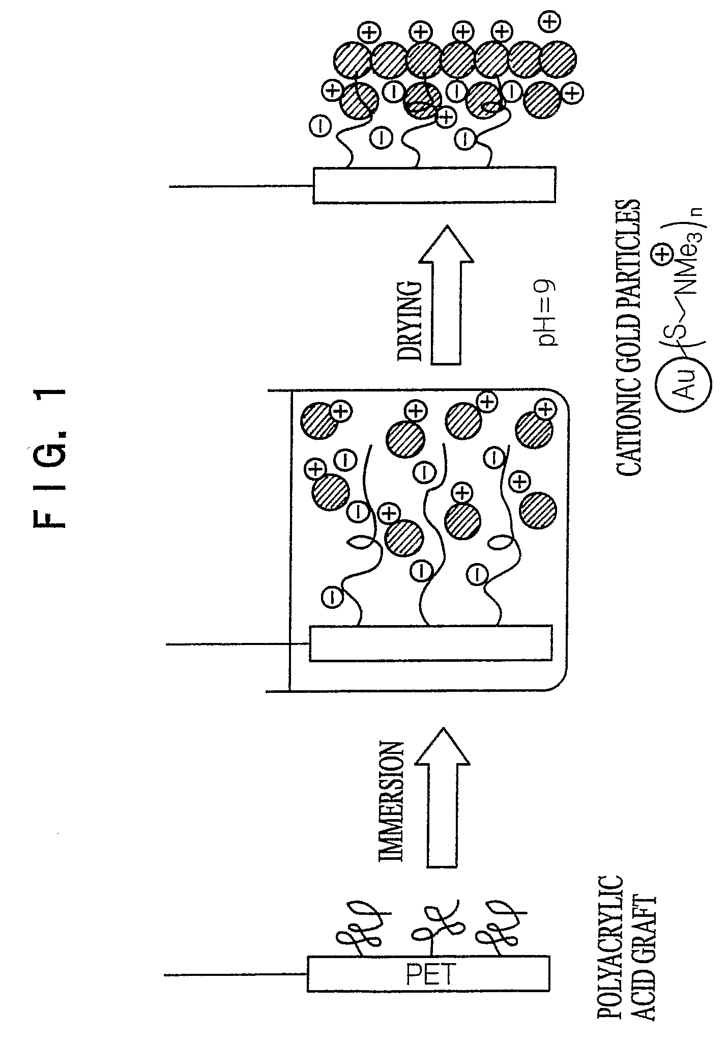 Particle Laminated Substate and Method for Manufacturing the Same