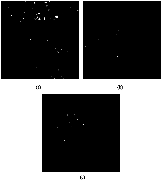 SAR image registration method based on phase congruency and SIFT