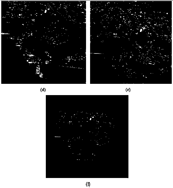 SAR image registration method based on phase congruency and SIFT