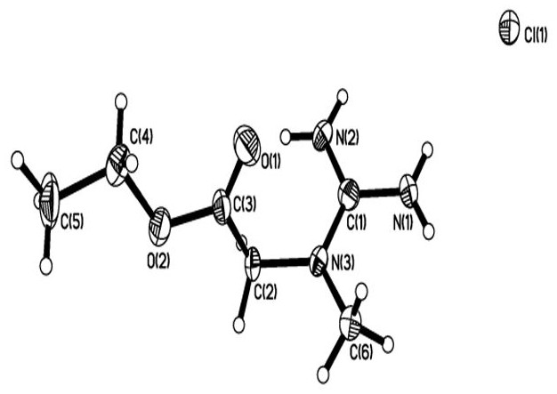 A kind of synthesis technique of creatine ethyl ester hydrochloride