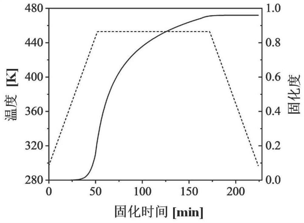 Damage determination method and system for curing molding of toughened composite material