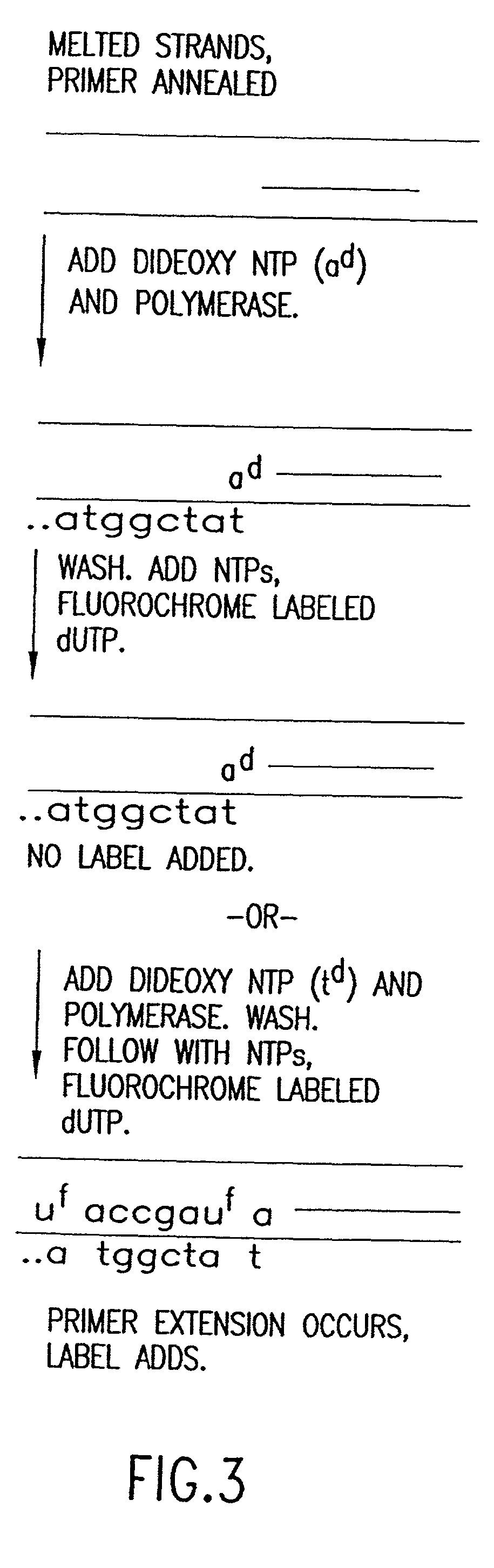 Method for analyzing nucleic acid reactions