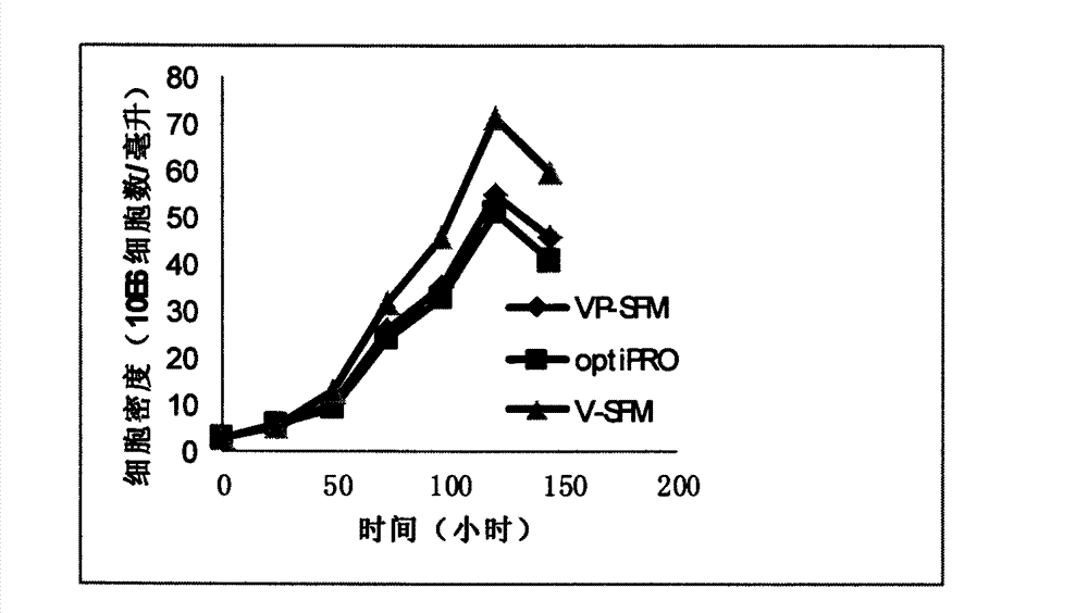 Culture medium applicable to suspension and magnification cultivation of Vero cell microcarriers and method for suspension magnification cultivation of Vero cell microcarriers