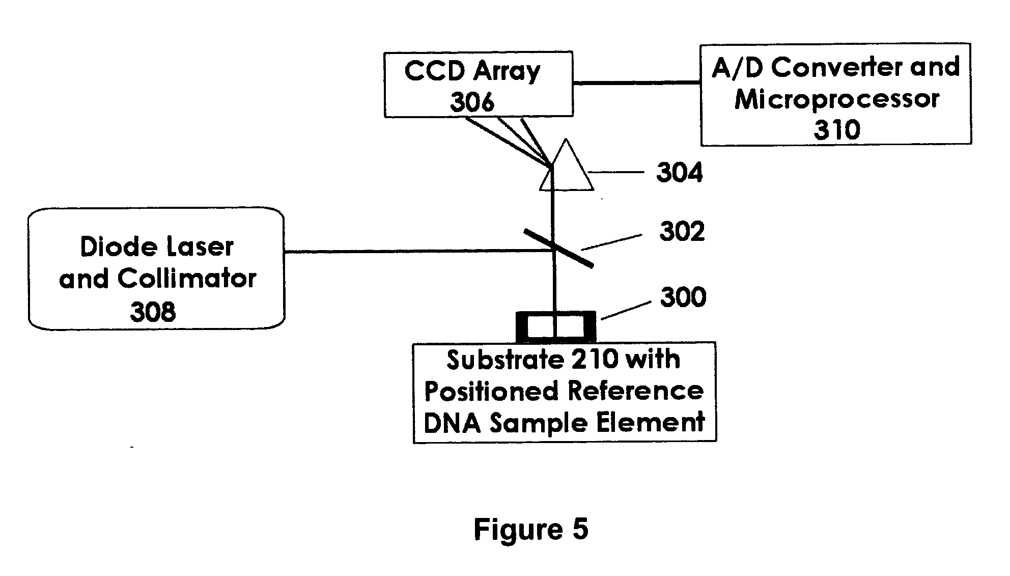 Disposable, multi-use, DNA sample collection disk apparatus for field biohazard testing, DNA testing, and personal authentication