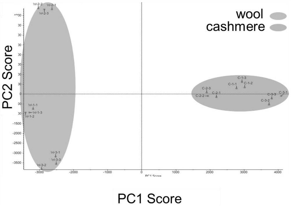 Cashmere protein marking method and peptide fragment sequence of differential expression protein of cashmere protein