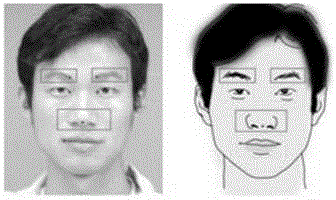 A Face Cartoon Generation Method Based on Feature Point Location