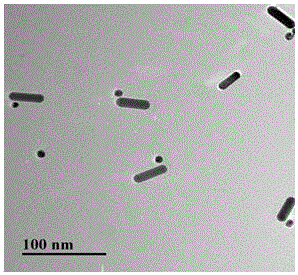 Preparing method and application of self-assembly structures of gold and silver core-shell particles and gold nanometer rods