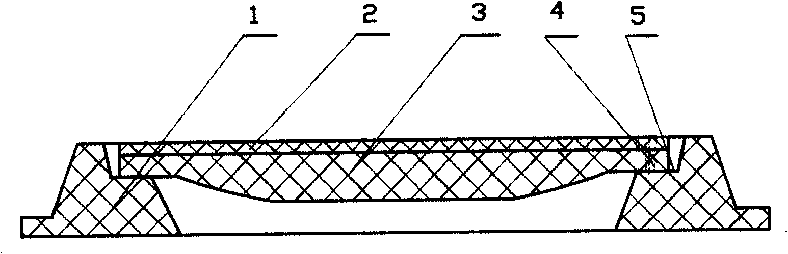 Compound resin hole cover and its manufacture method