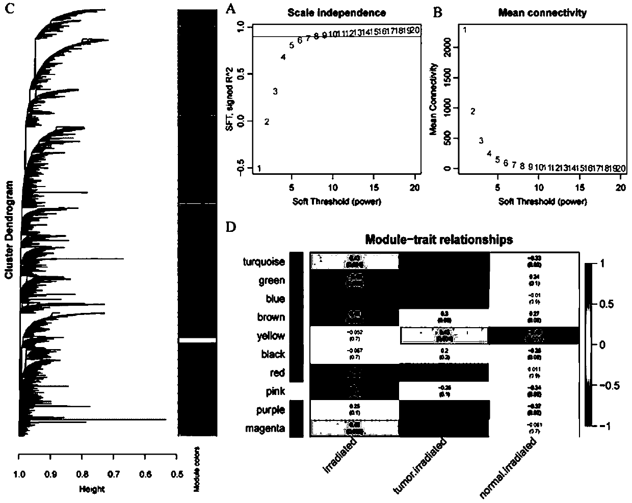 Method for mining radiotherapy specific genes of colorectal cancer by using weight gene co-expression network