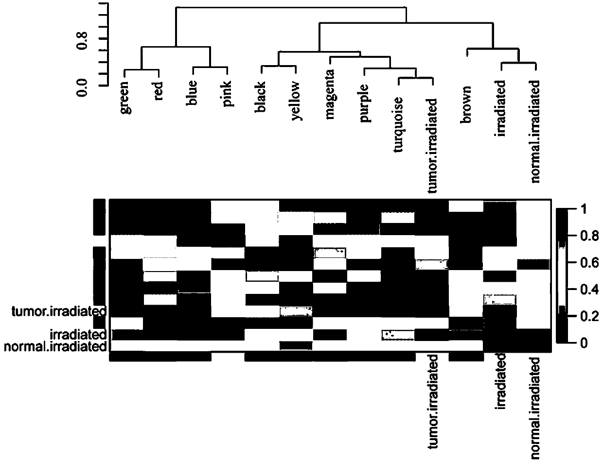 Method for mining radiotherapy specific genes of colorectal cancer by using weight gene co-expression network