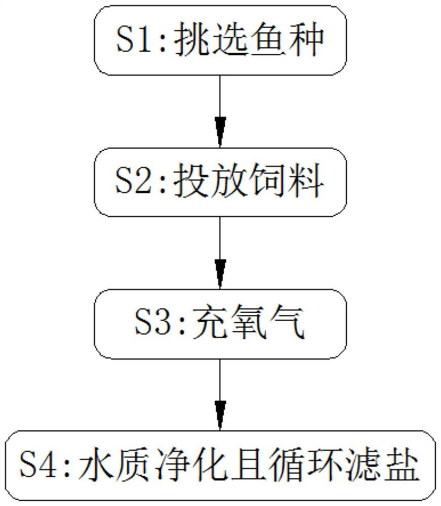 Three-dimensional culture method of pseudosciaena crocea