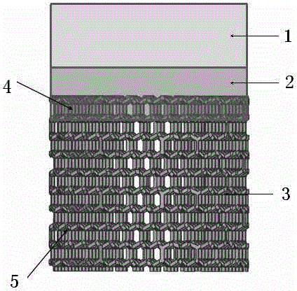 Three-layer integrated composite stent and transplanting method thereof
