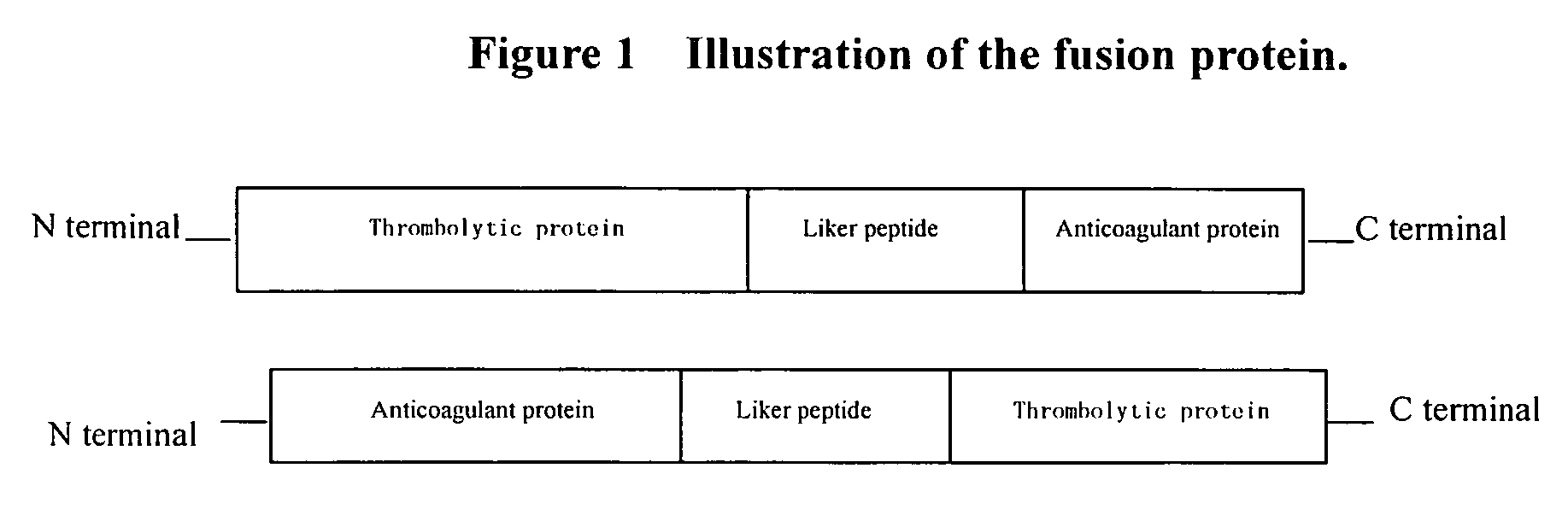 Bifunctional fusion protein with thrombolytic and anticoagulant activities and uses thereof