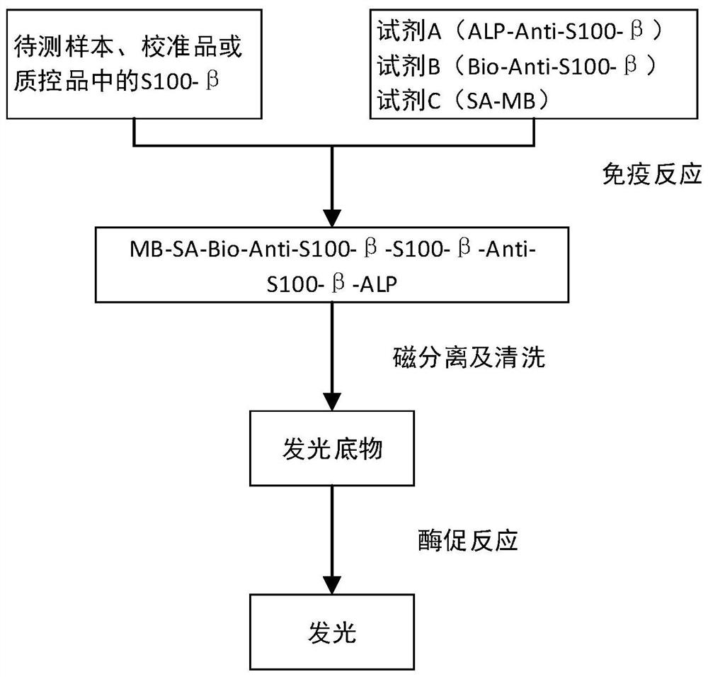 Buffer solution and application thereof in central nervous system specific protein detection kit