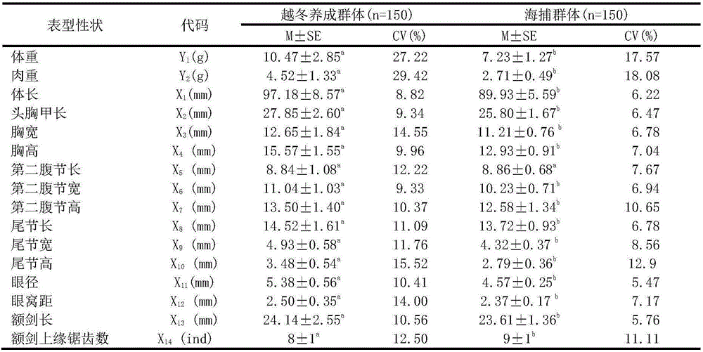 A method for optimizing the wild parents of autumn seedlings of Penaeus japonicus and a method for obtaining the morphological model of the basic group