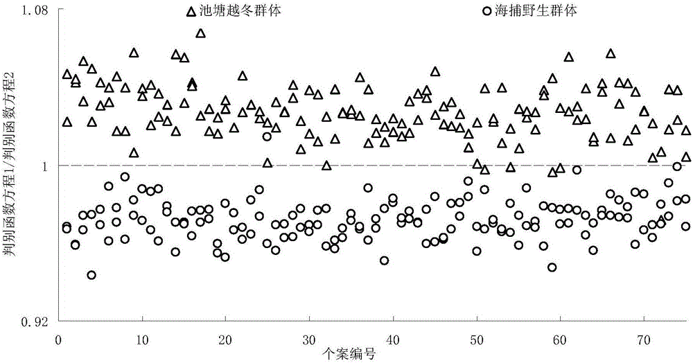 A method for optimizing the wild parents of autumn seedlings of Penaeus japonicus and a method for obtaining the morphological model of the basic group