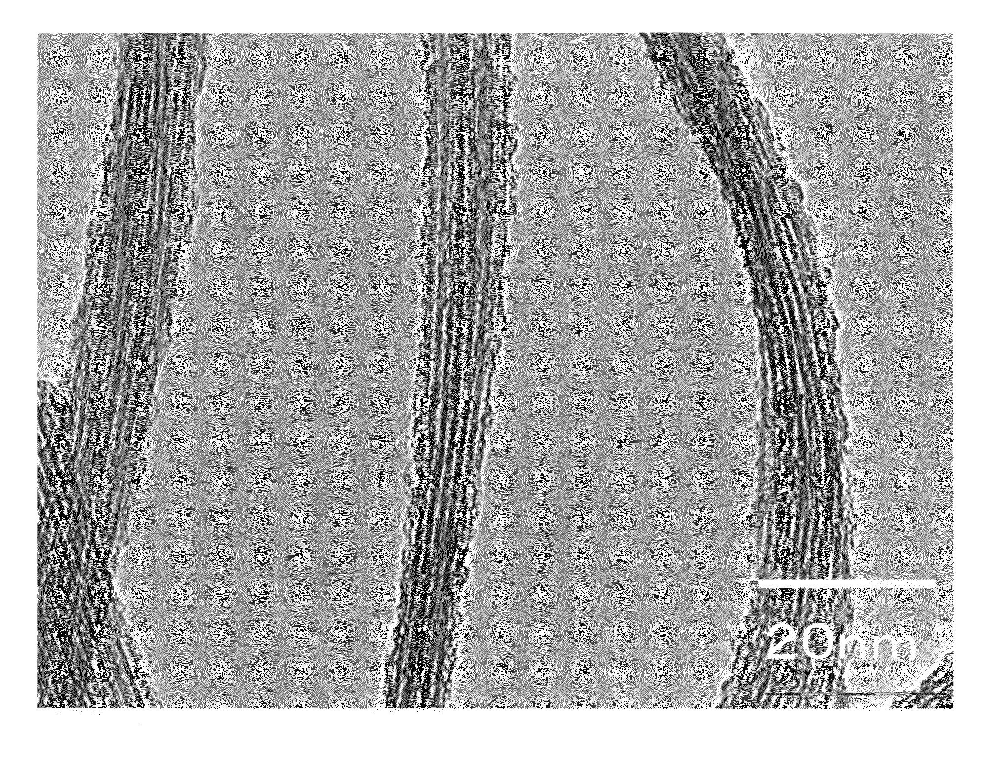 Carbon nanotube assembly and electrically conductive film