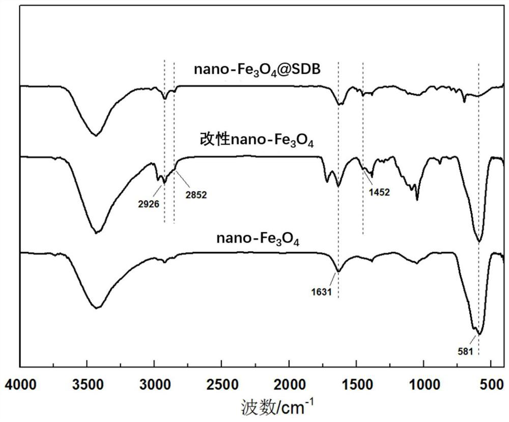 Preparation method of nano ferric oxide doped styrene-divinylbenzene copolymer hydrophobic catalyst carrier