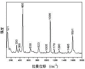 Method for forming SERS active substrate by assembling gold nanoparticles to electrostatic spinning polymer nanofiber membrane