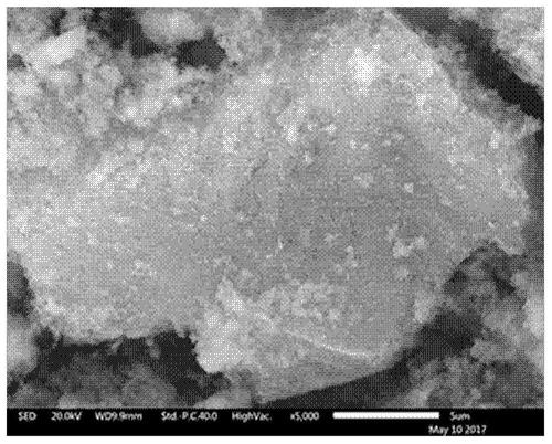 Method for preparing foamy silicon powder by coating silicon and magnesium particles with tin-indium alloy and silicon powder