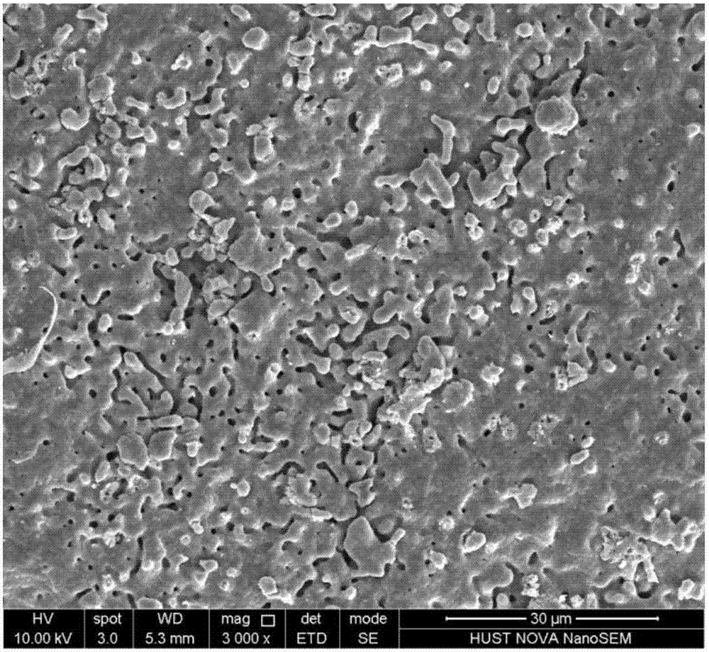 A kind of high-performance porous calcium-based absorbent and its preparation method