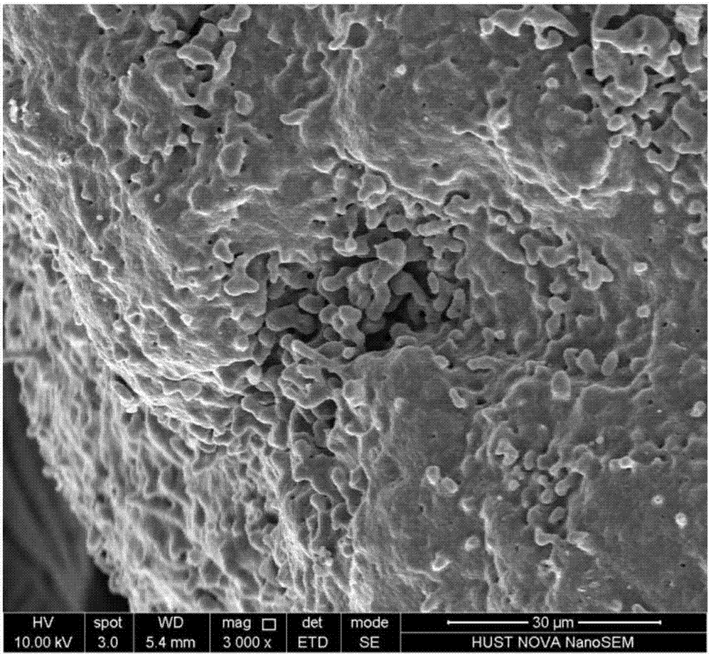 A kind of high-performance porous calcium-based absorbent and its preparation method