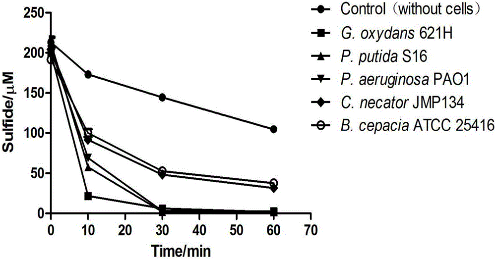 Method for removing hydrogen sulfide by utilizing heterotrophic microorganisms