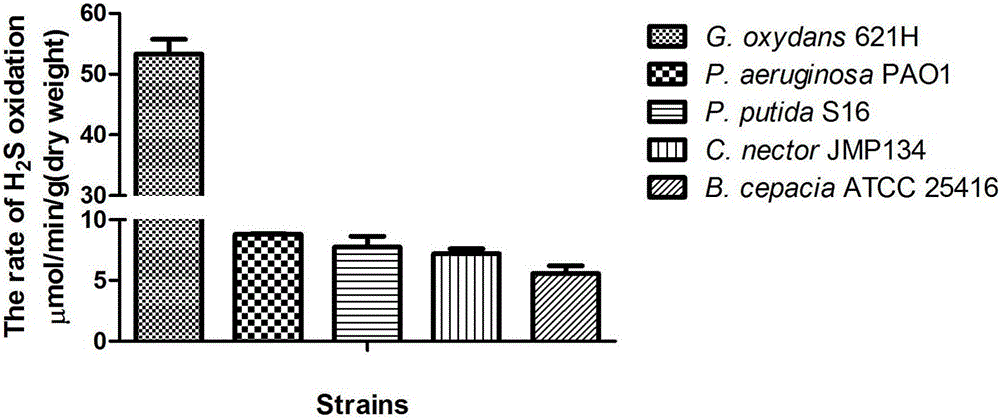 Method for removing hydrogen sulfide by utilizing heterotrophic microorganisms