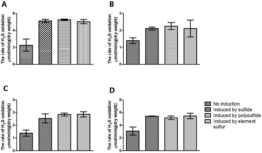 Method for removing hydrogen sulfide by utilizing heterotrophic microorganisms