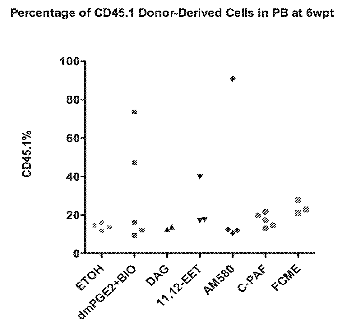 Methods for enhancing hematopoietic stem/progenitor cell engraftment