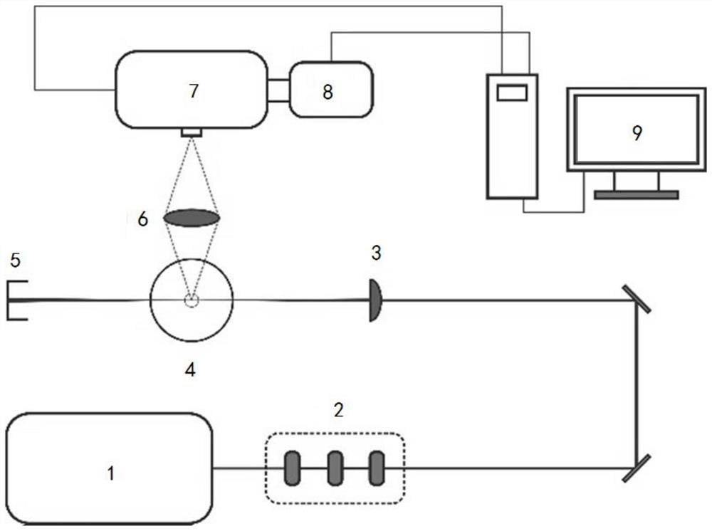 Device and method for measuring gaseous ammonia based on femtosecond laser-induced fluorescence