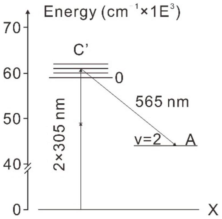 Device and method for measuring gaseous ammonia based on femtosecond laser-induced fluorescence