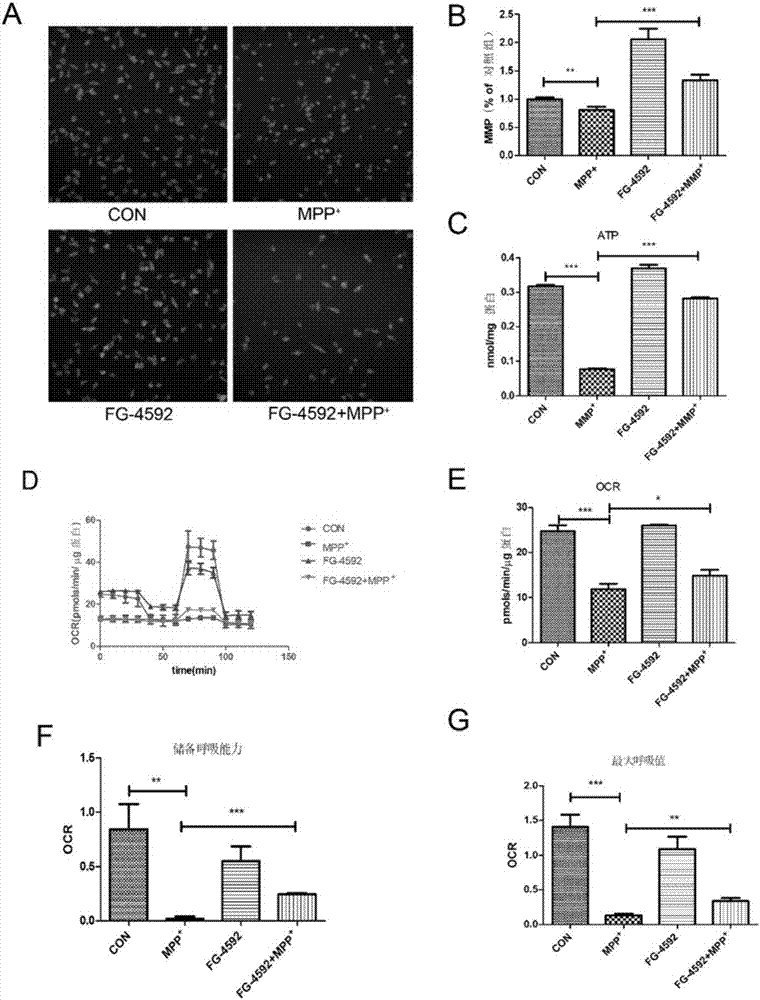 Application of HIF-1 alpha micromolecule activator FG-4592 for Parkinson's diseases