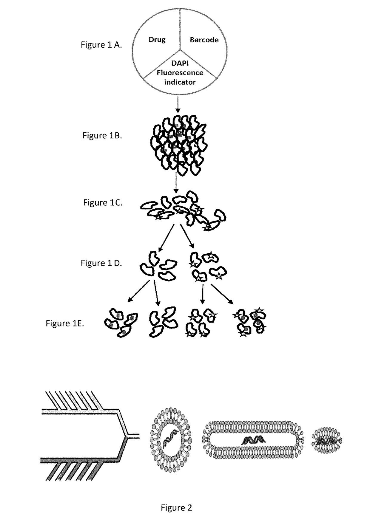 Compositions and methods for therapeutics prescreening
