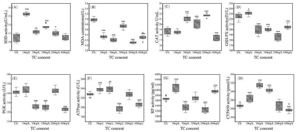 Method for detecting and evaluating tetracycline environmental risk by using paramecium biomarkers and IBR
